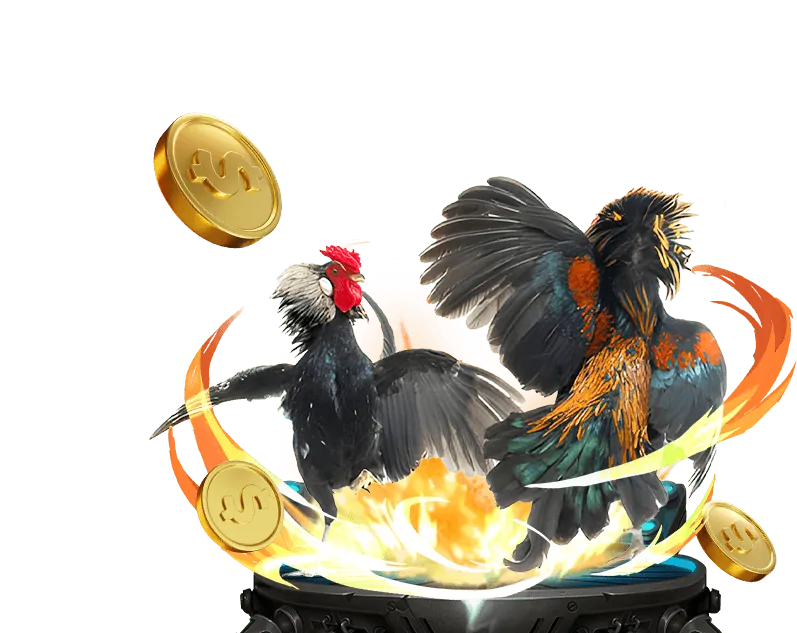 Hướng dẫn đăng ký và đặt cược đá gà neo 88